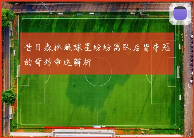 昔日森林狼球星纷纷离队后皆夺冠的奇妙命运解析